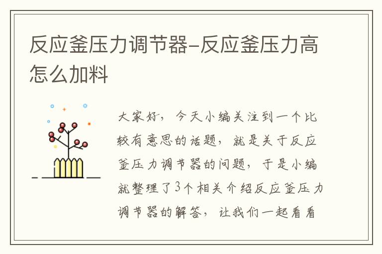 反应釜压力调节器-反应釜压力高怎么加料