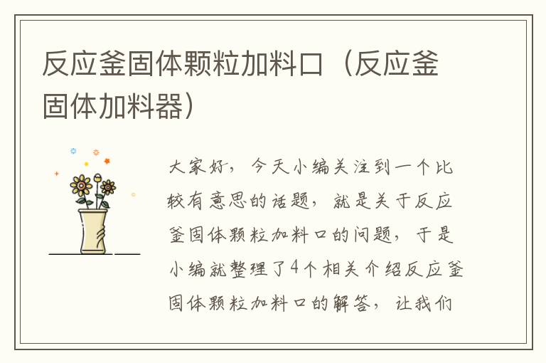 反应釜固体颗粒加料口（反应釜固体加料器）