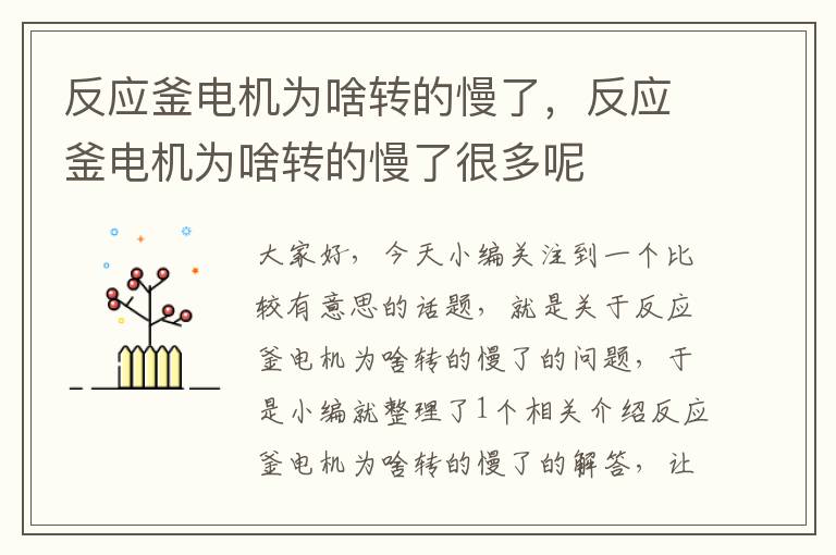 反应釜电机为啥转的慢了，反应釜电机为啥转的慢了很多呢