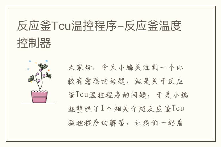 反应釜Tcu温控程序-反应釜温度控制器