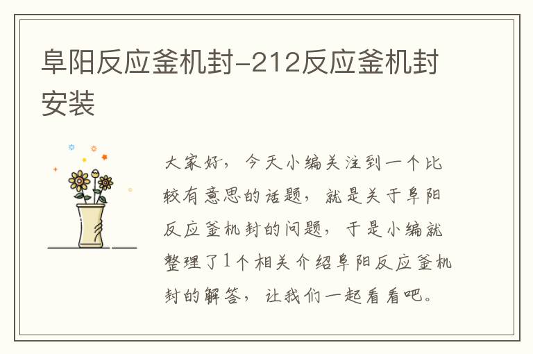 阜阳反应釜机封-212反应釜机封安装