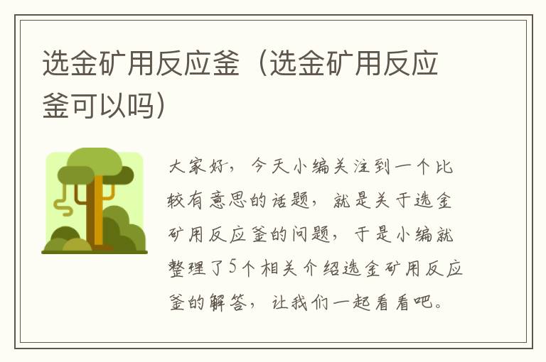 选金矿用反应釜（选金矿用反应釜可以吗）