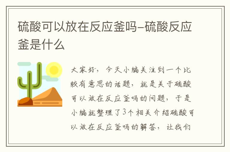 硫酸可以放在反应釜吗-硫酸反应釜是什么