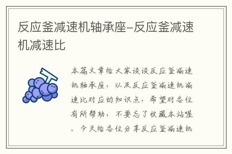 反应釜减速机轴承座-反应釜减速机减速比