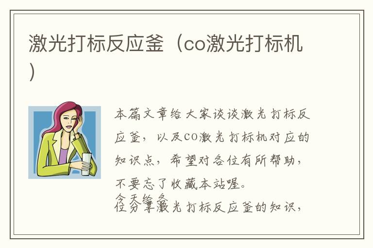 激光打标反应釜（co激光打标机）