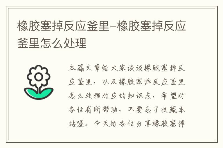 橡胶塞掉反应釜里-橡胶塞掉反应釜里怎么处理