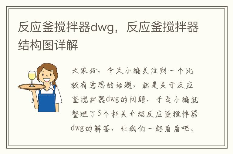 反应釜搅拌器dwg，反应釜搅拌器结构图详解