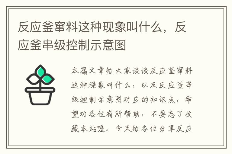 反应釜窜料这种现象叫什么，反应釜串级控制示意图