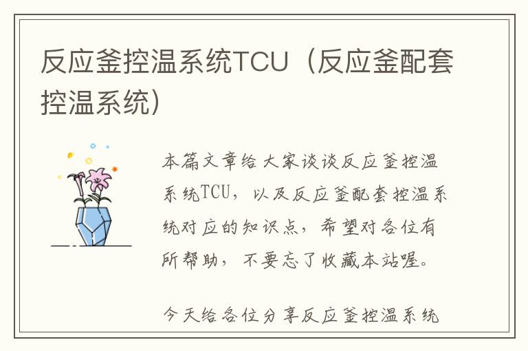 反应釜控温系统TCU（反应釜配套控温系统）