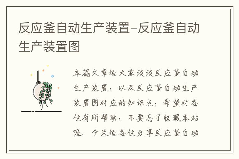 反应釜自动生产装置-反应釜自动生产装置图