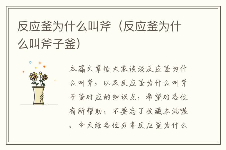 反应釜为什么叫斧（反应釜为什么叫斧子釜）