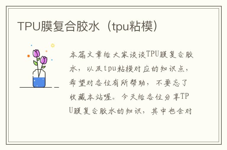 TPU膜复合胶水（tpu粘模）