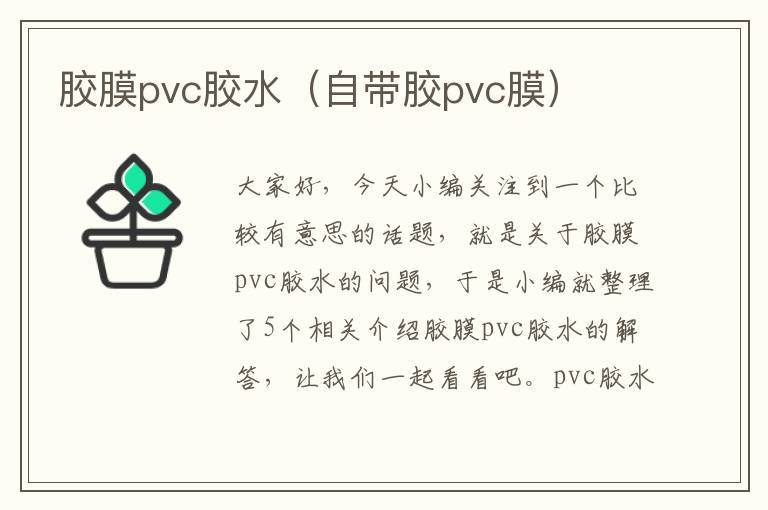 胶膜pvc胶水（自带胶pvc膜）