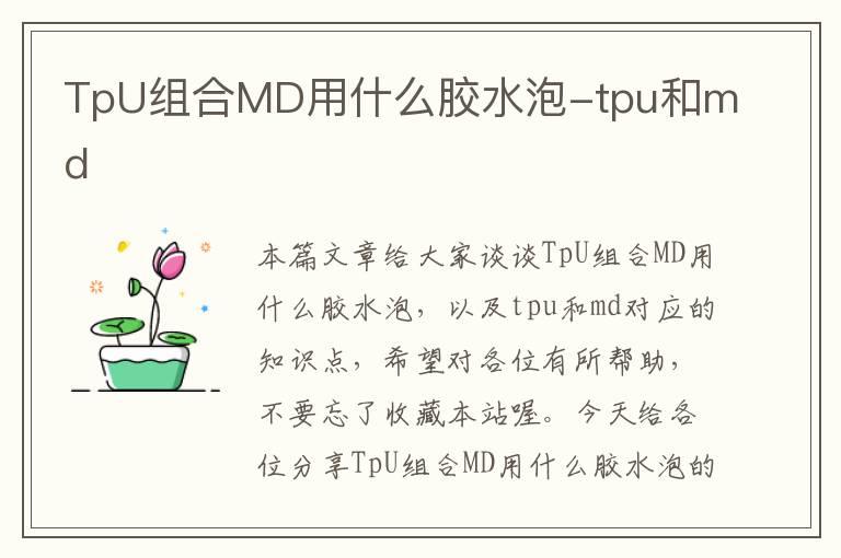 TpU组合MD用什么胶水泡-tpu和md