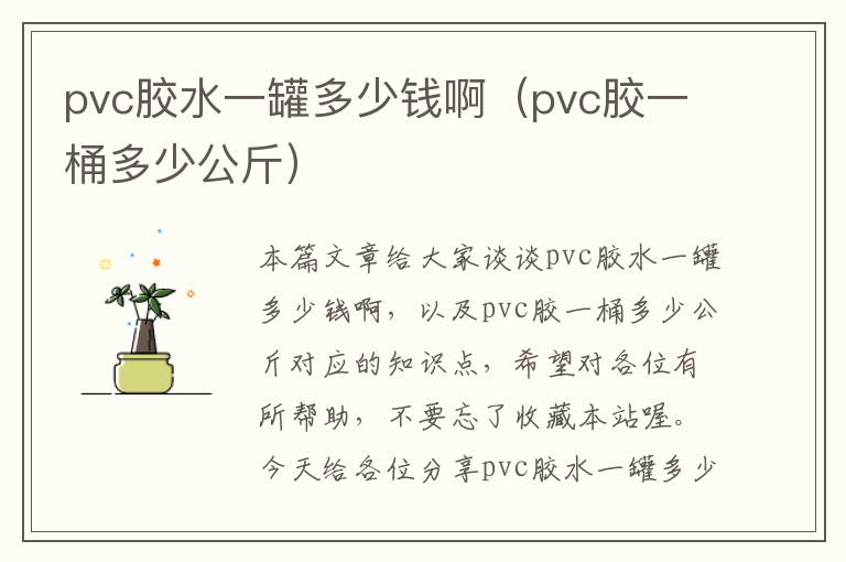 pvc胶水一罐多少钱啊（pvc胶一桶多少公斤）