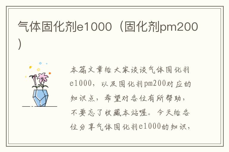 气体固化剂e1000（固化剂pm200）