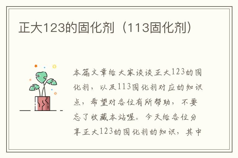 正大123的固化剂（113固化剂）