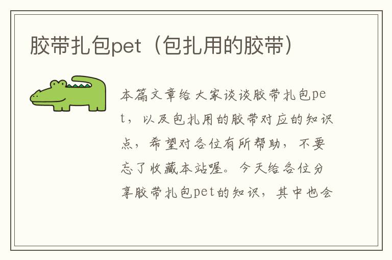 胶带扎包pet（包扎用的胶带）