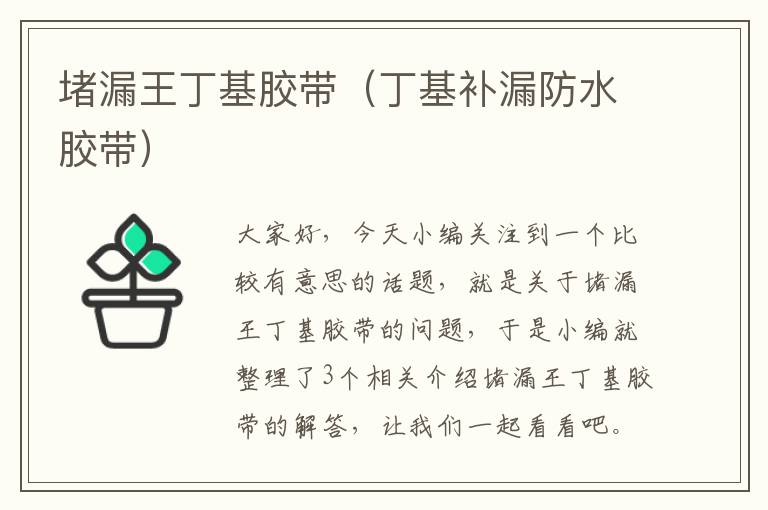 堵漏王丁基胶带（丁基补漏防水胶带）