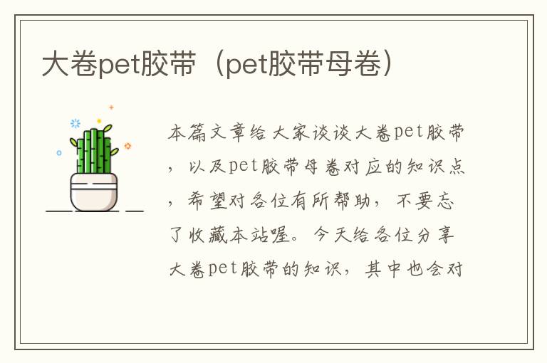 大卷pet胶带（pet胶带母卷）