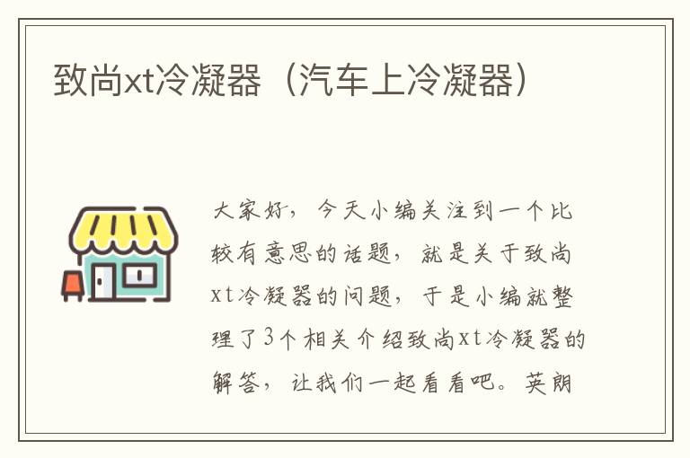 致尚xt冷凝器（汽车上冷凝器）