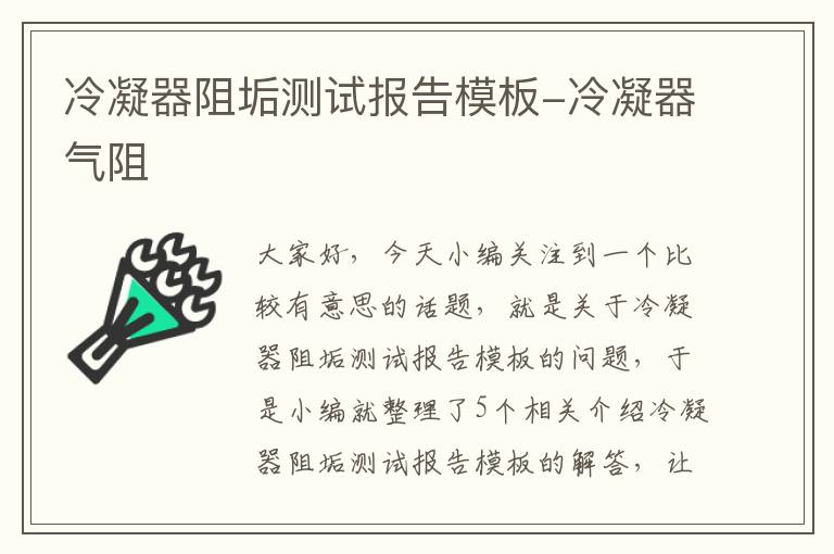 冷凝器阻垢测试报告模板-冷凝器气阻