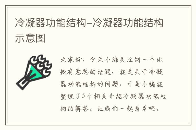 冷凝器功能结构-冷凝器功能结构示意图