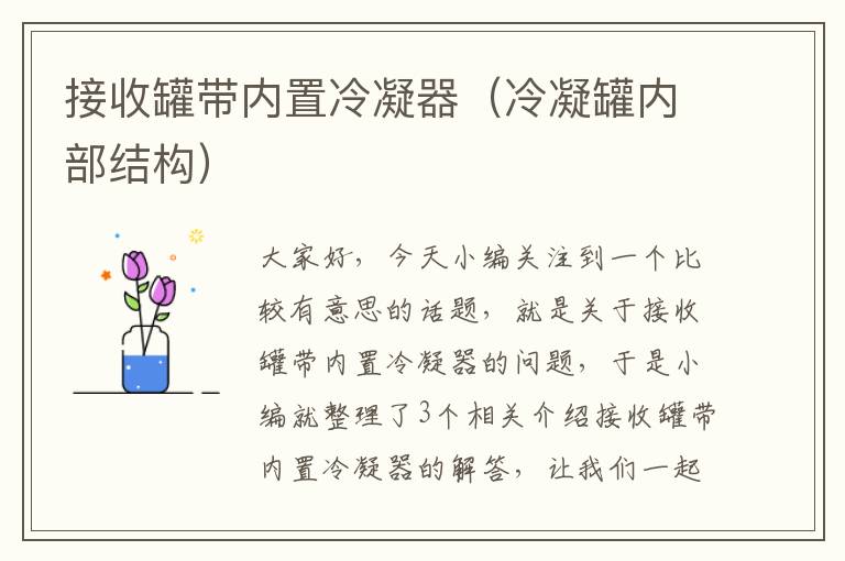 接收罐带内置冷凝器（冷凝罐内部结构）