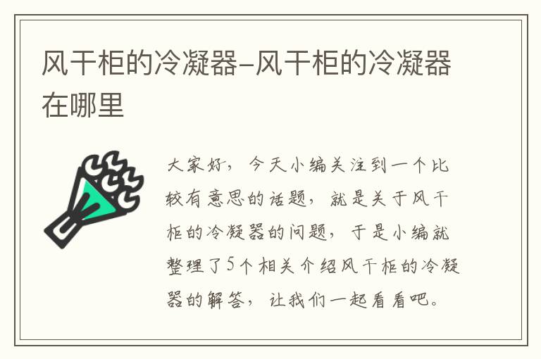 风干柜的冷凝器-风干柜的冷凝器在哪里