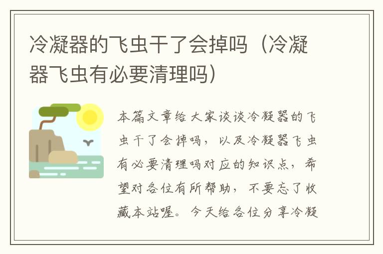 冷凝器的飞虫干了会掉吗（冷凝器飞虫有必要清理吗）