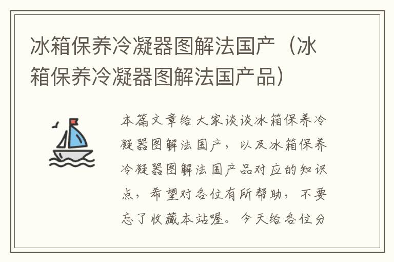 冰箱保养冷凝器图解法国产（冰箱保养冷凝器图解法国产品）