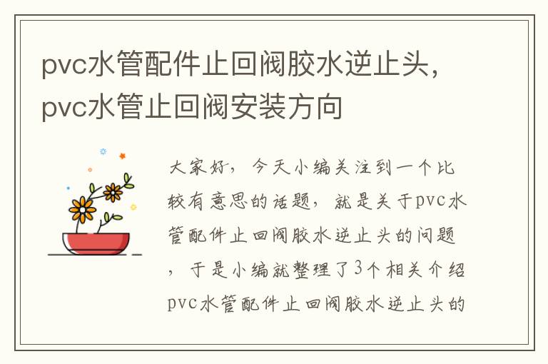 pvc水管配件止回阀胶水逆止头，pvc水管止回阀安装方向