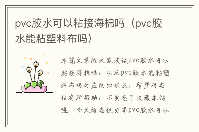 pvc胶水可以粘接海棉吗（pvc胶水能粘塑料布吗）