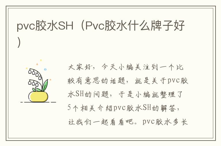 pvc胶水SH（Pvc胶水什么牌子好）